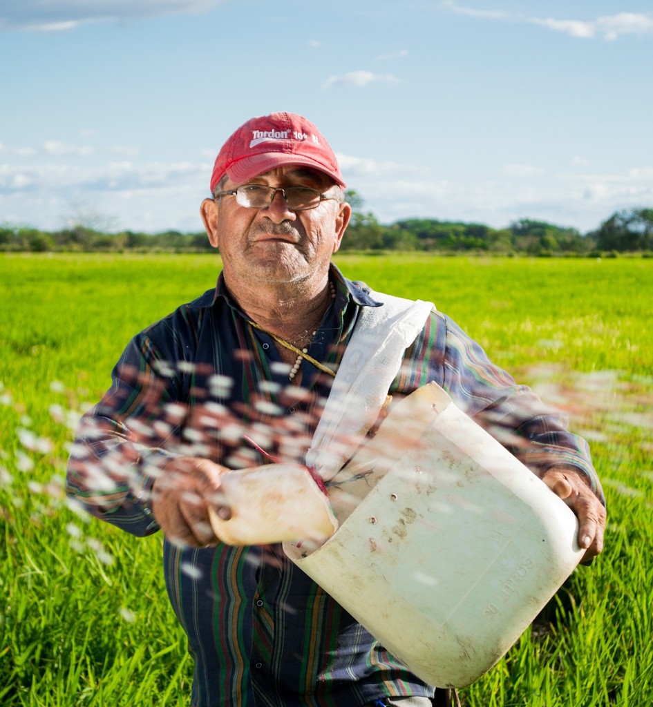 Randy, Farmer